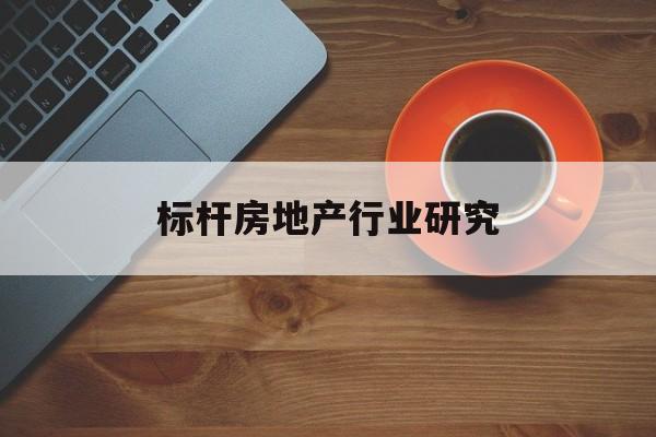 三亚市标杆房地产行业研究(房地产领域的标杆人物)