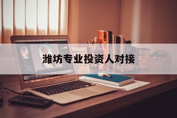 三亚市潍坊专业投资人对接(潍坊专业投资人对接中心)