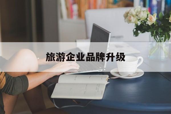 三亚市旅游企业品牌升级(旅游企业品牌升级措施)