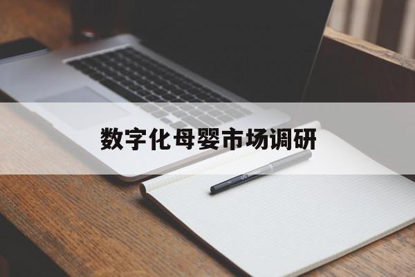 三亚市数字化母婴市场调研(数字化母婴市场调研报告)