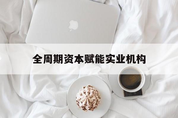 三亚市全周期资本赋能实业机构(全周期管理)